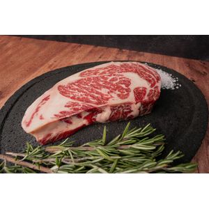 RIBEYE WX 5+