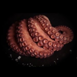 PULPO KRAKEN 1 KG