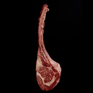 TOMAHAWK WAGYU F1 BMS 5