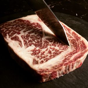 OJO RIBEYE WX 9