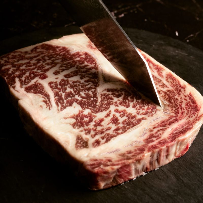 OJO%20RIBEYE%20WX%209
