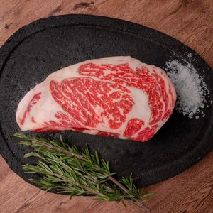 RIBEYE WX 5+