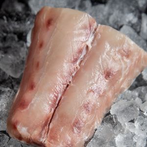 STEAK DE TOTOABA