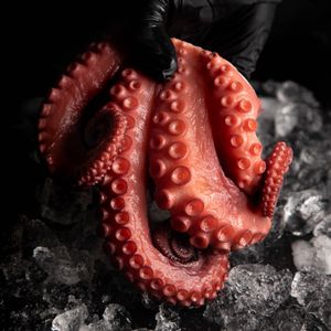 PULPO COLOSAL 600 a 700 G